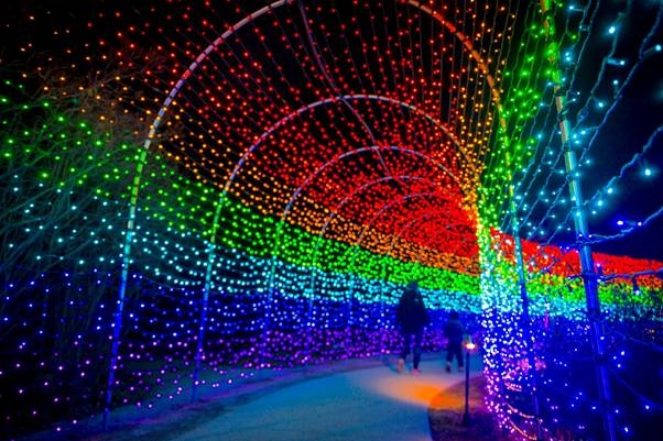 Gift of Lights, Kitchener
