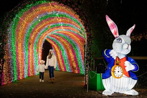 Wild Lights at Dublin Zoo